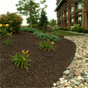 Landscape Rubber Mulch